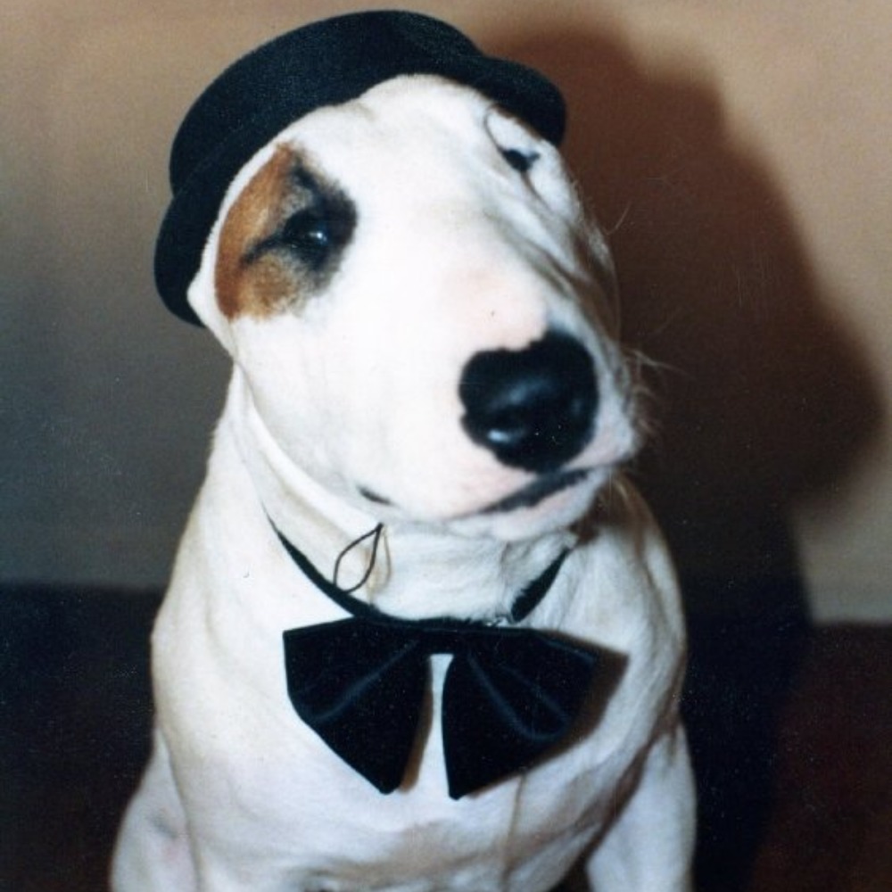 Meet your Posher, Kat.....